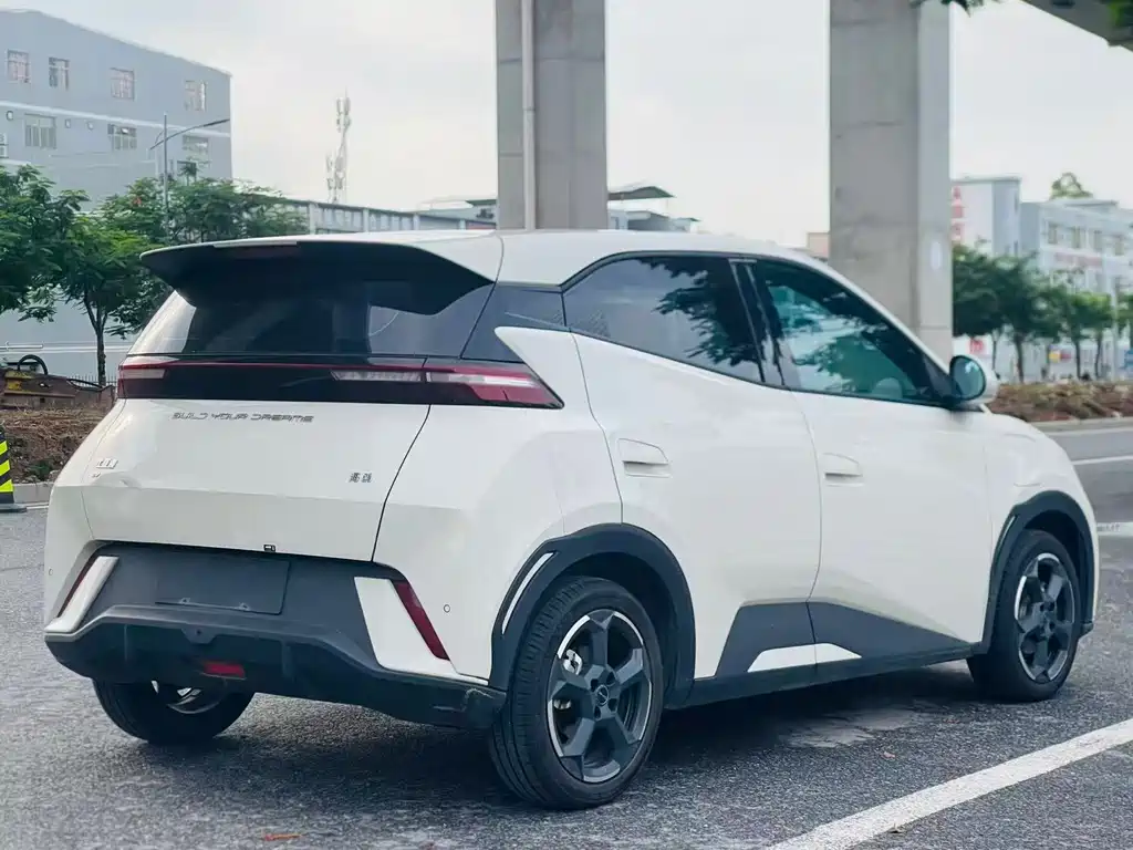 BYD Seagull 2024