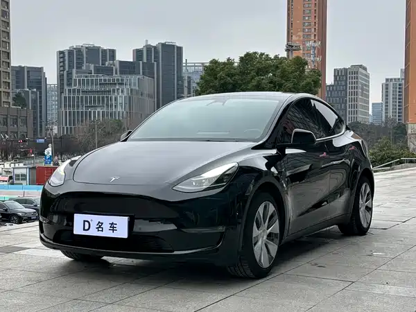 Tesla Model Y 2021