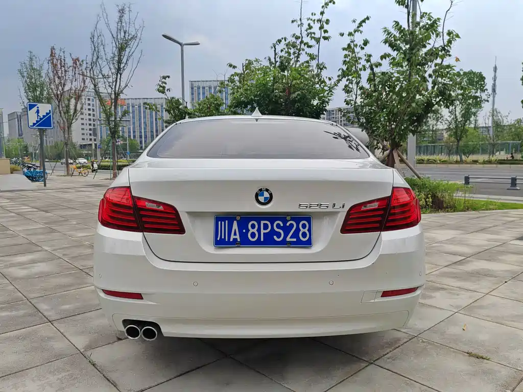 BMW 5 Series 2015