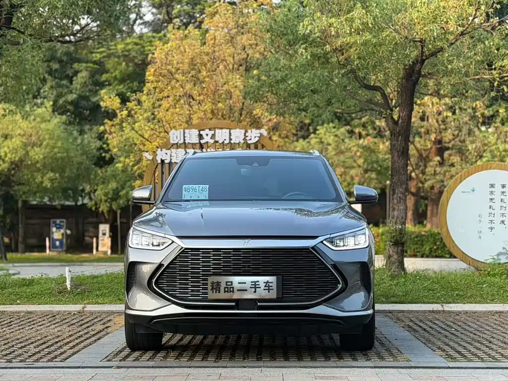 BYD PLUS New Energy 2022 — фото 2