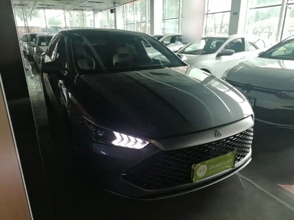BYD Qin PLUS 2024