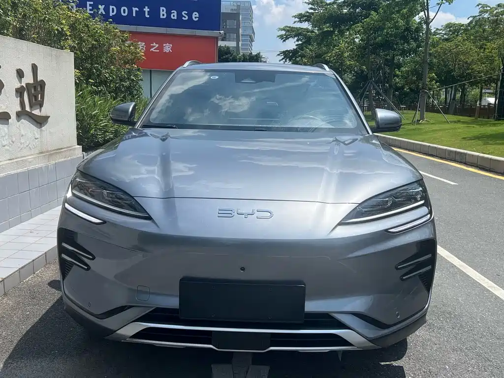 BYD Song PLUS New Energy 2024 — фото 2