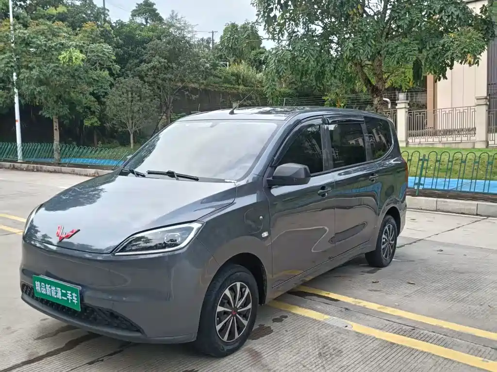 Wuling Hongguang New Energy 2025