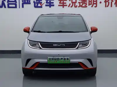 BYD Dolphin 2022