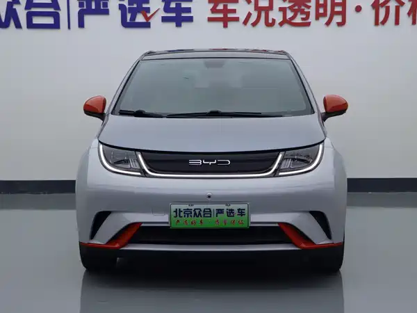 BYD Dolphin 2022