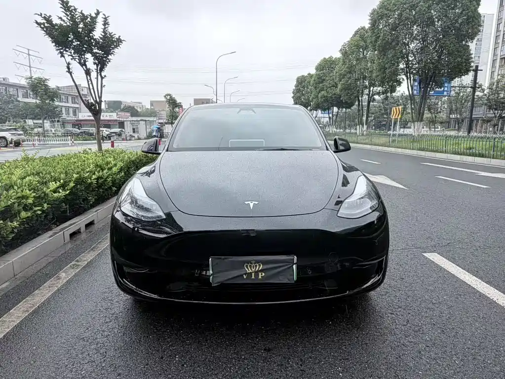 Tesla Model Y 2023 — фото 2