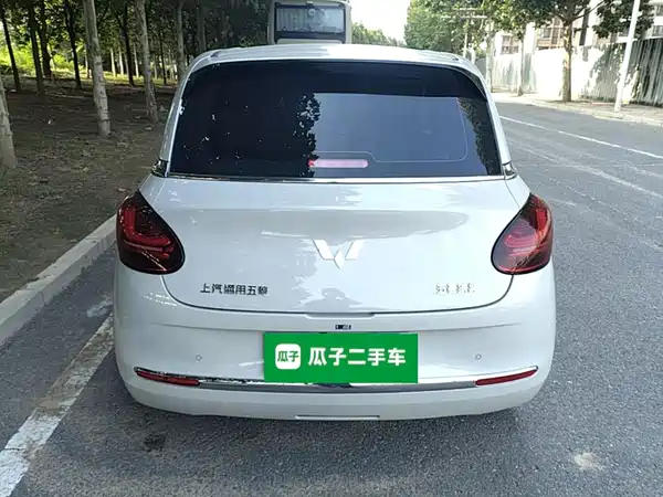 Wuling Bingo 2024
