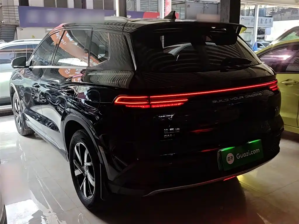 BYD Pro New Energy 2024 — фото 5