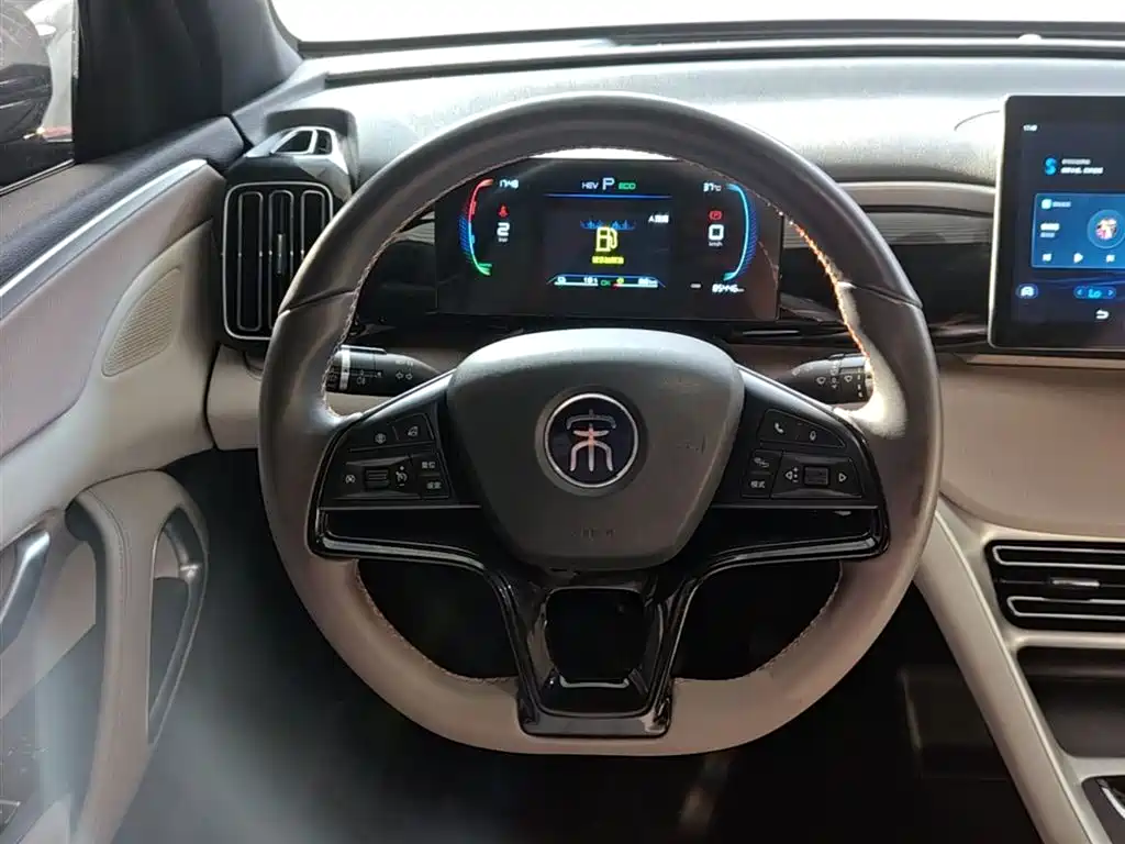 BYD Pro New Energy 2024 — фото 11