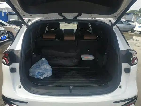BYD Tang New Energy 2023
