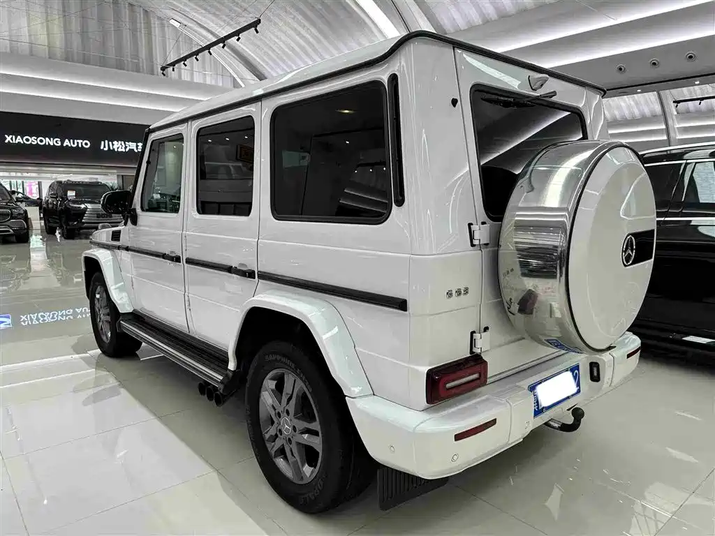 Mercedes-Benz G-Class 2016 — фото 5