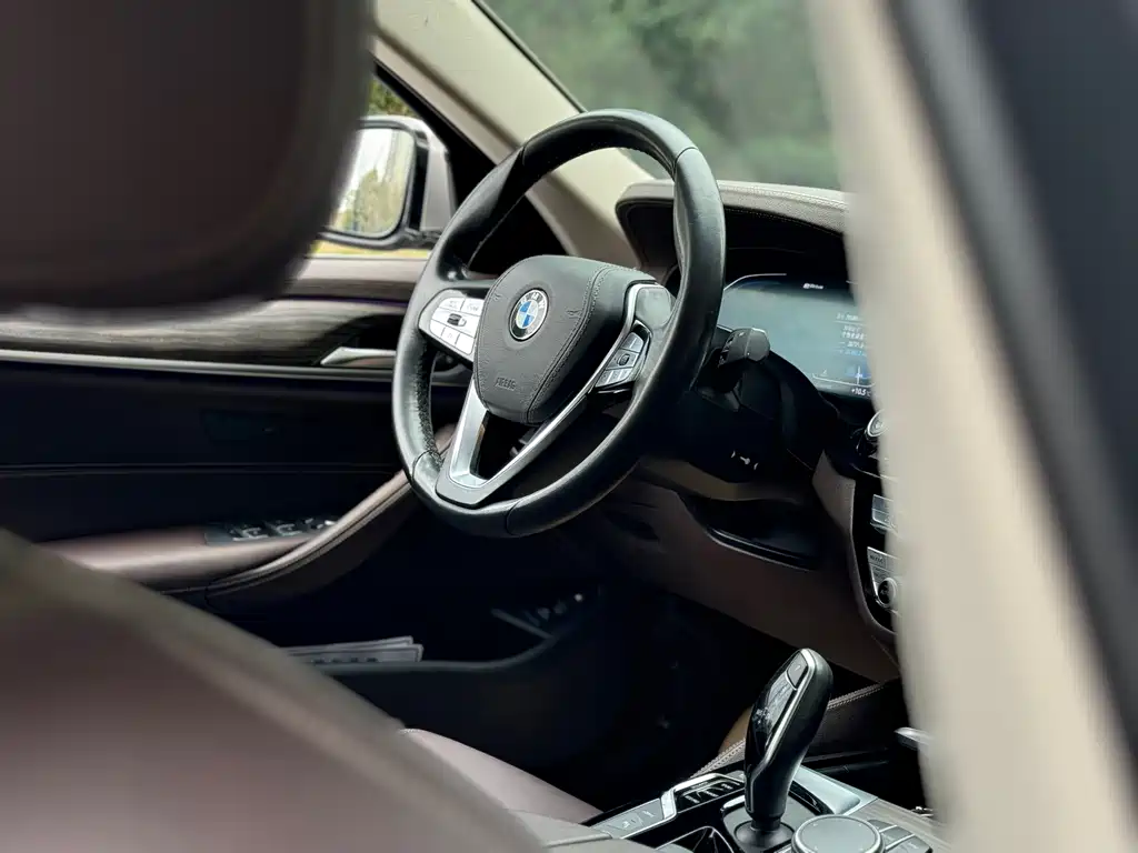 BMW 5 Series New Energy 2020 — фото 21