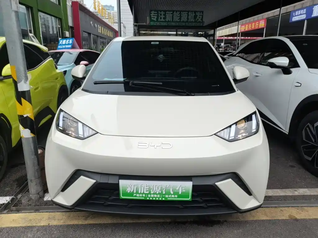BYD Seagull 2025