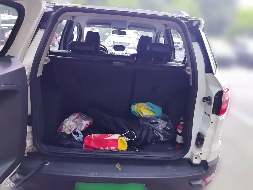 Ford Ecosport 2015 — фото 15