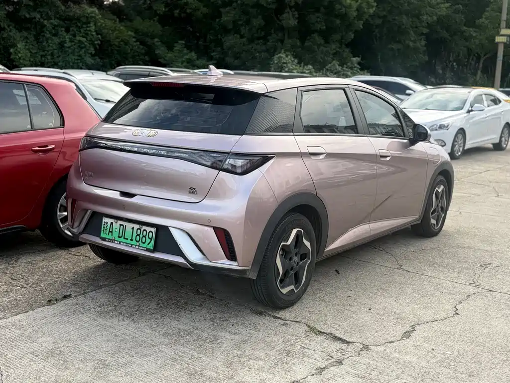 BYD Dolphin 2022
