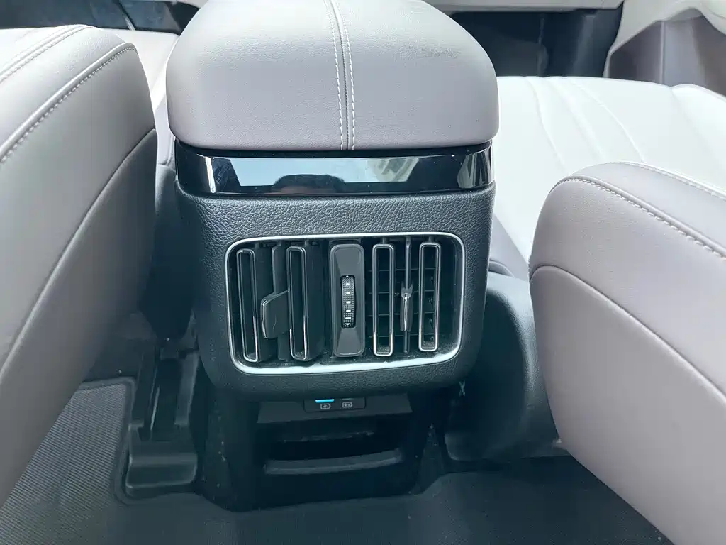 BYD PLUS New Energy 2025 — фото 21