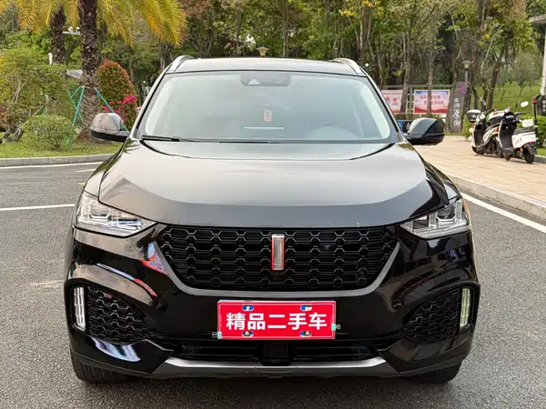 Wey VV6 2018