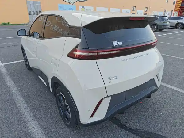 BYD Seagull 2024