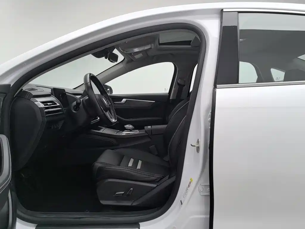 BYD Qin Pro New Energy 2019 — фото 10