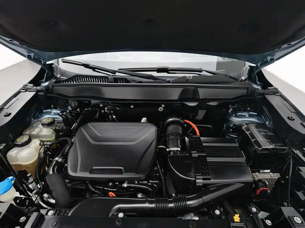 Haval H6 New Energy 2023 — фото 6
