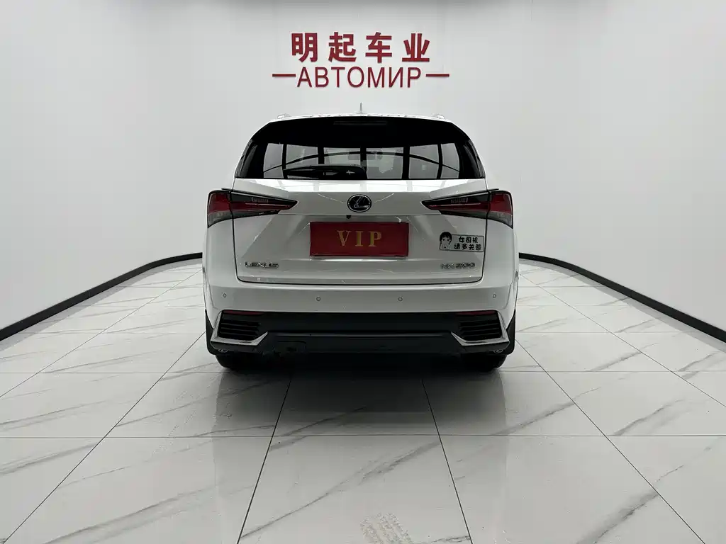 Lexus NX 2021 — фото 10