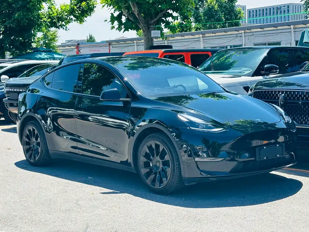 Tesla Model Y 2021 — фото 3