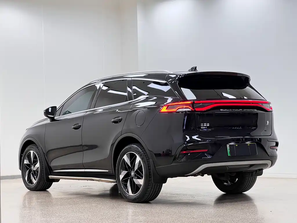 BYD Tang New Energy 2023 — фото 5