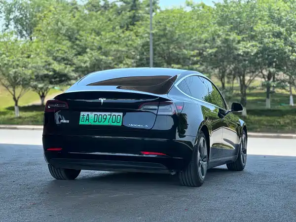 Tesla Model 3 2020