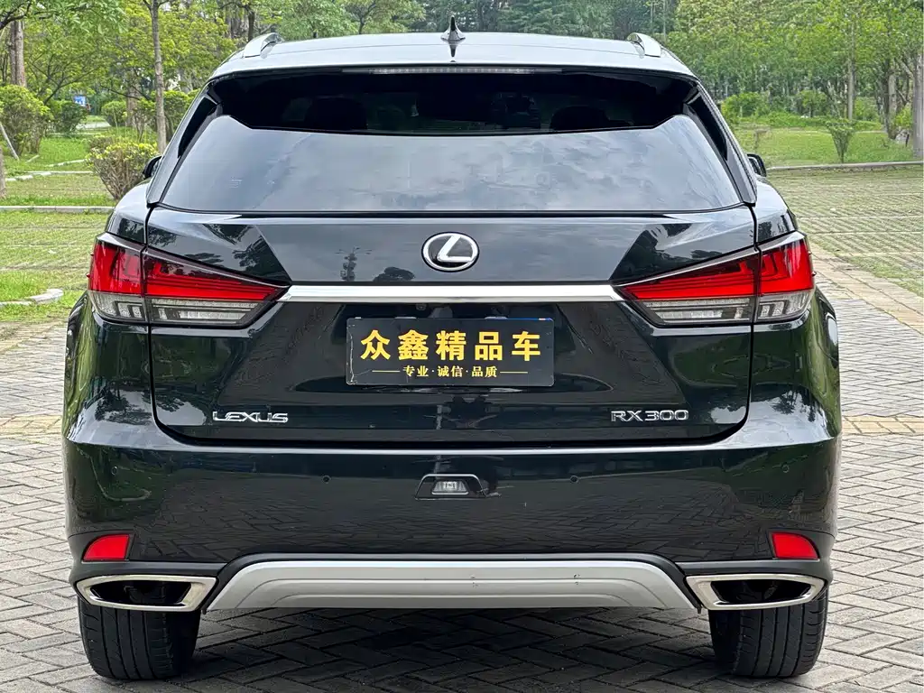 Lexus RX 2021 — фото 13