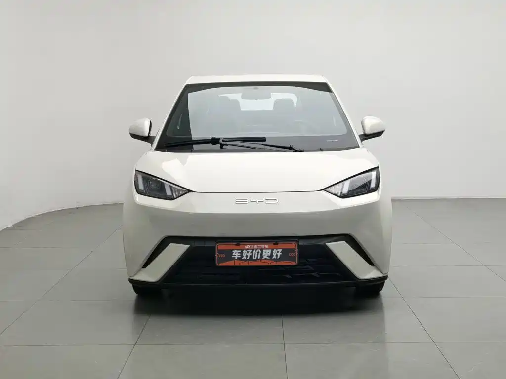 BYD Seagull 2024