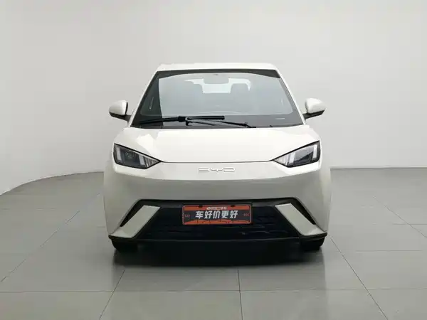 BYD Seagull 2024