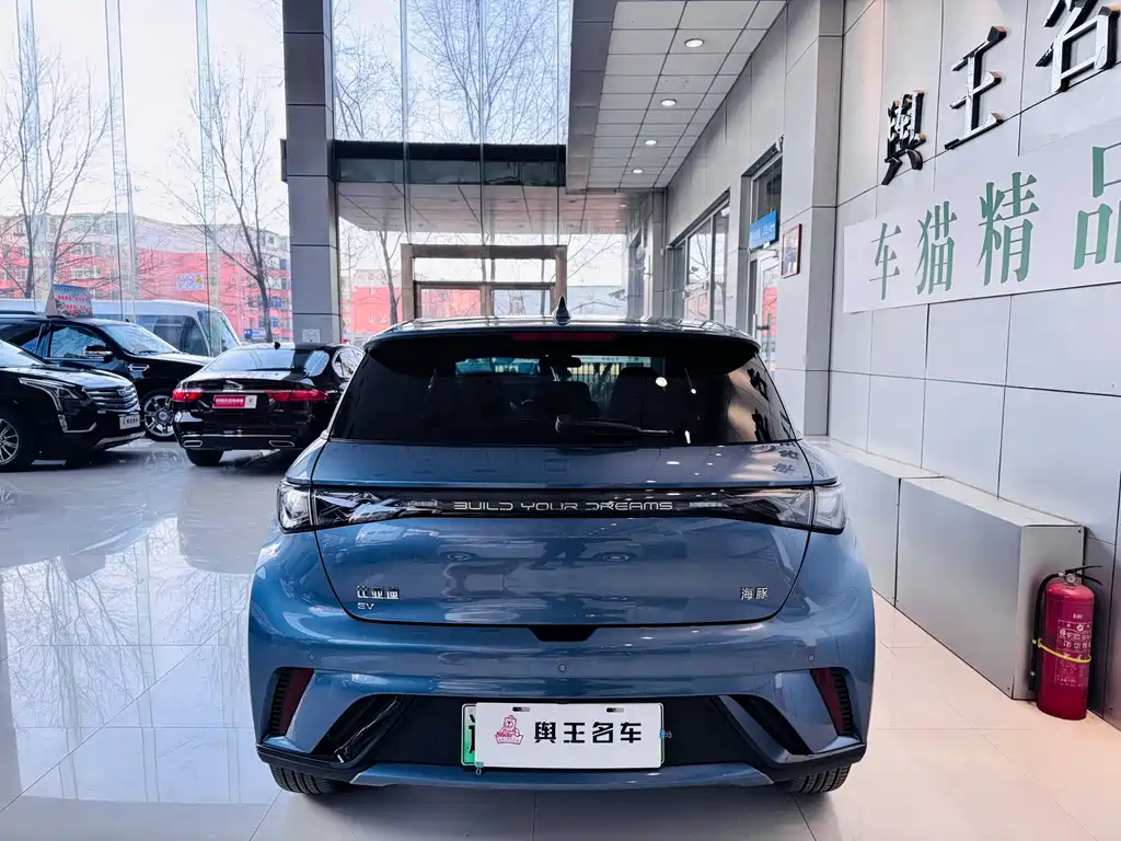 BYD Dolphin 2024