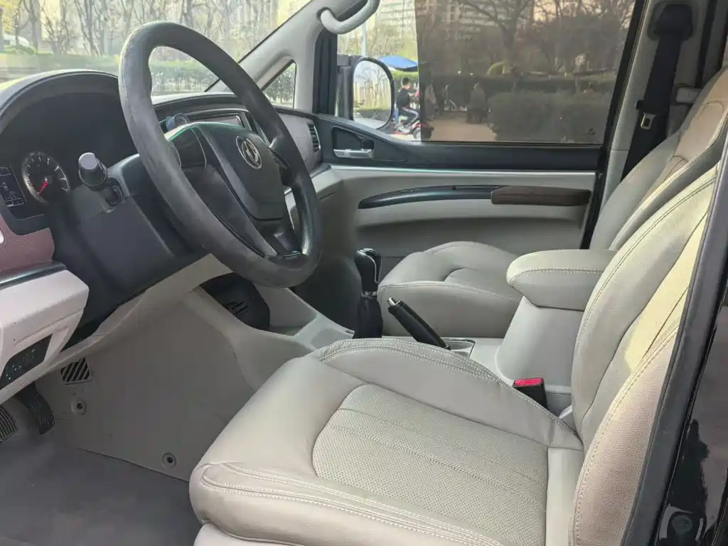 Dongfeng Lingzhi 2019