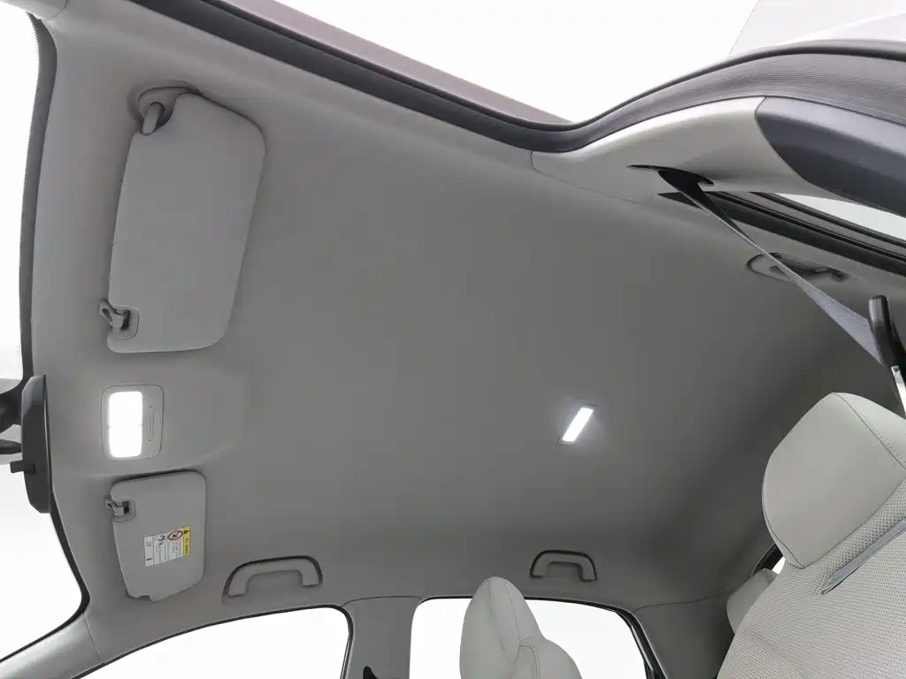 Geely Galaxy Starwish 2025 — фото 14