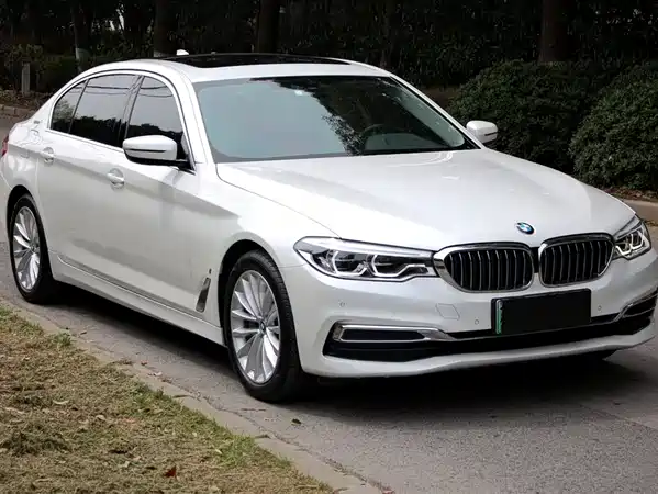 BMW 5 Series New Energy 2019