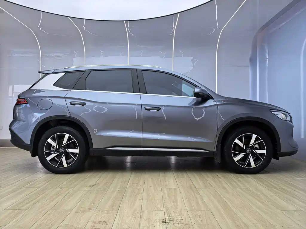 BYD Pro New Energy 2024 — фото 18