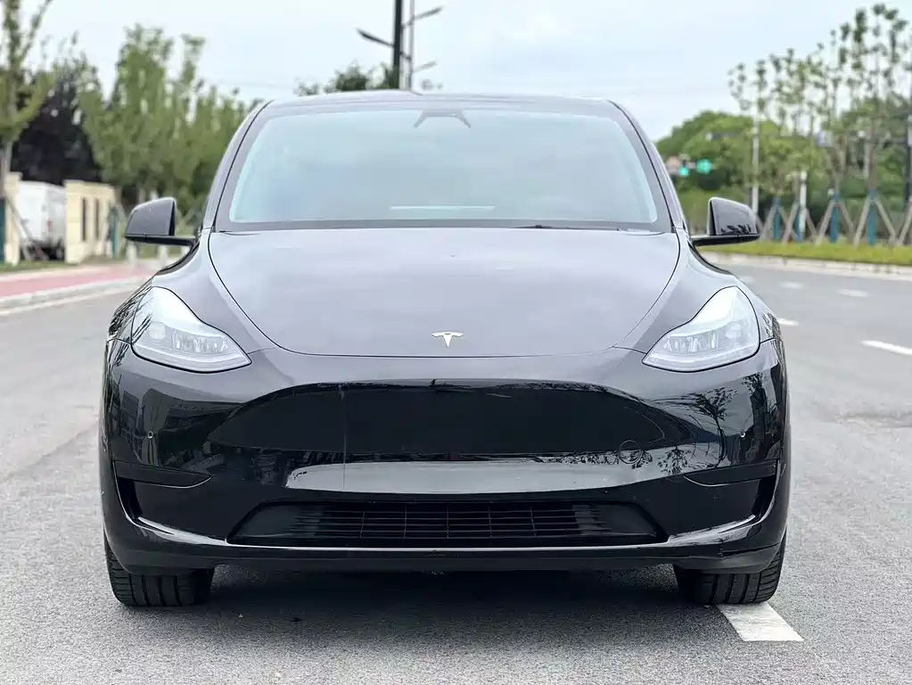 Tesla Model Y 2022 — фото 2
