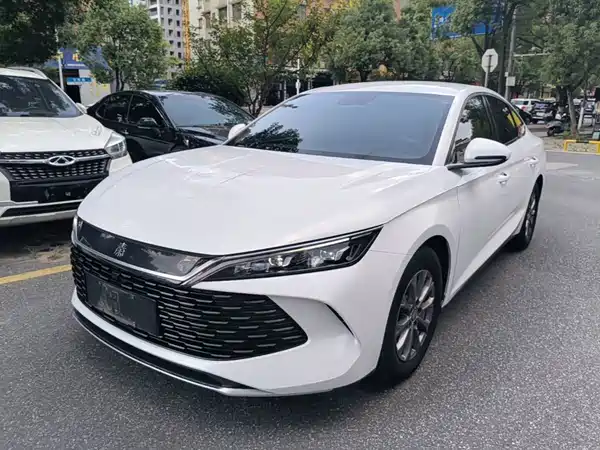 BYD Qin L 2024