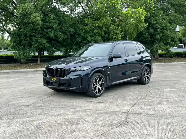 BMW X5 2025
