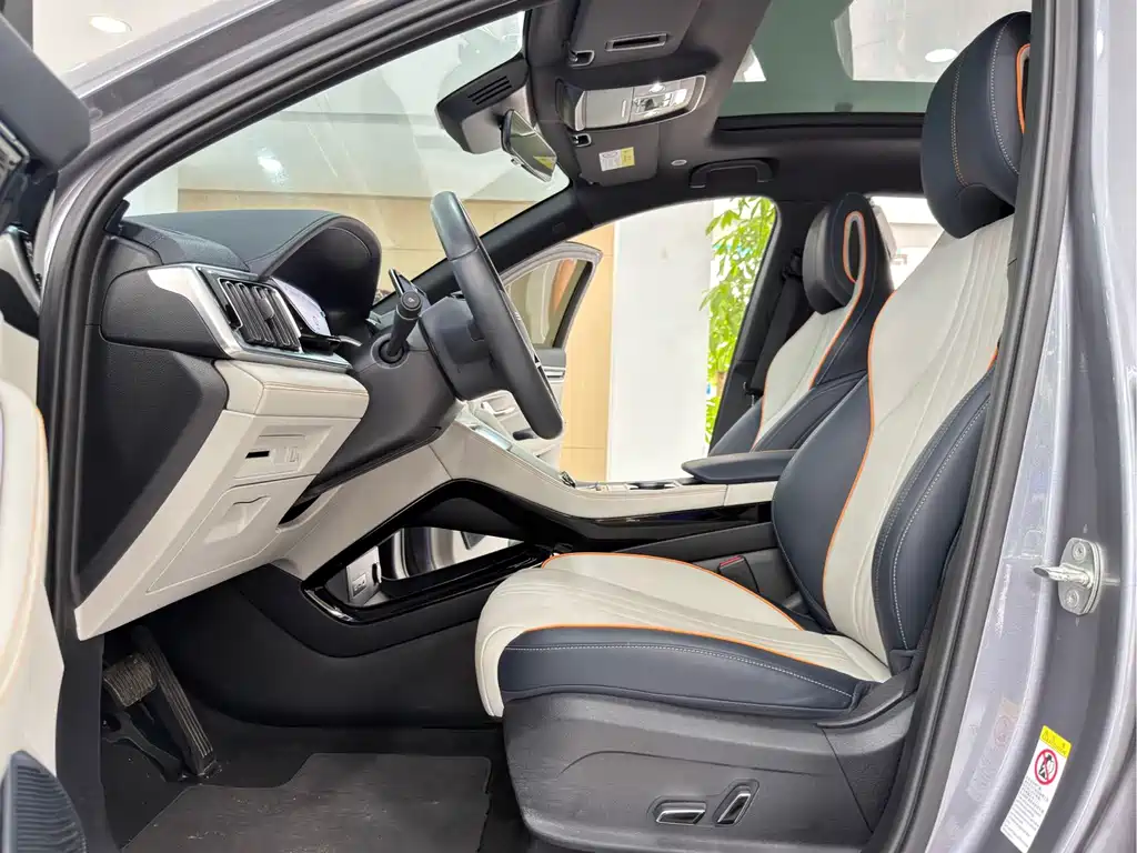 BYD Song PLUS New Energy 2024 — фото 10