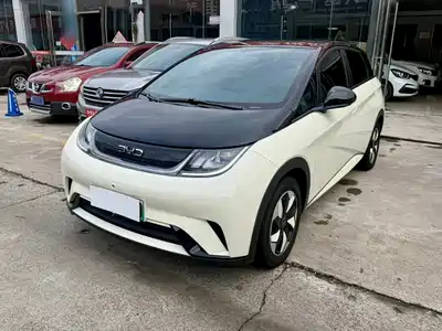 BYD Dolphin 2025