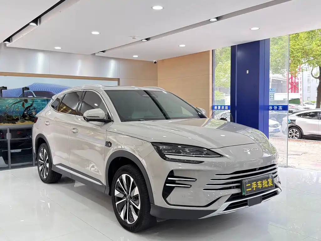 BYD Song PLUS New Energy 2025 — фото 3