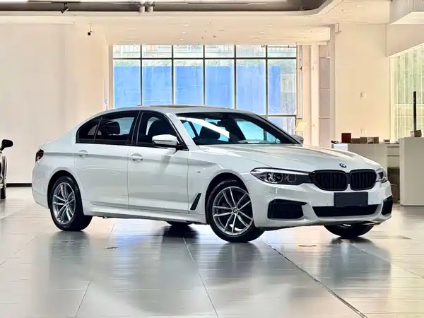 BMW 5 Series 2019