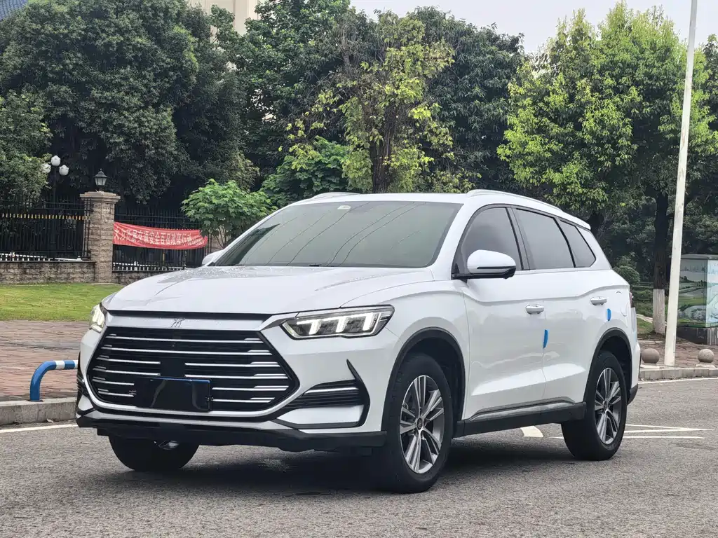 BYD Pro 2021