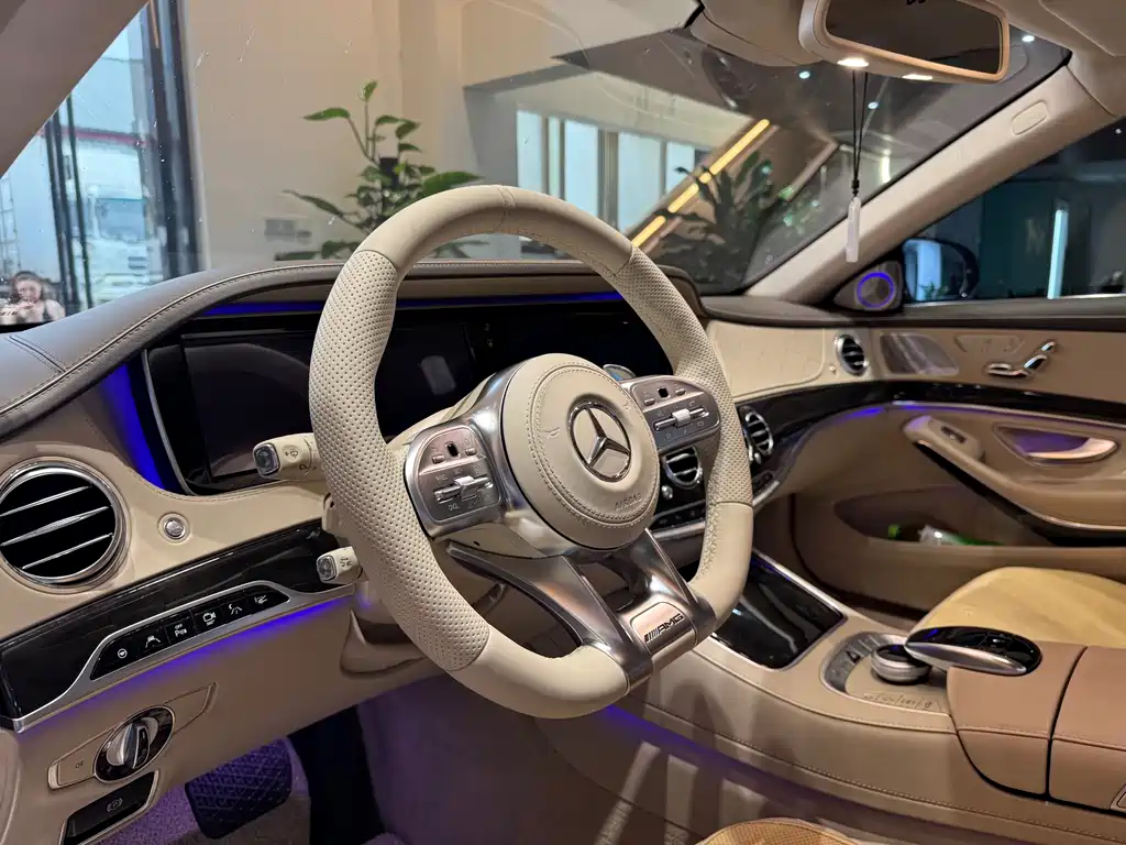 Mercedes-Benz S-Class 2014 — фото 19