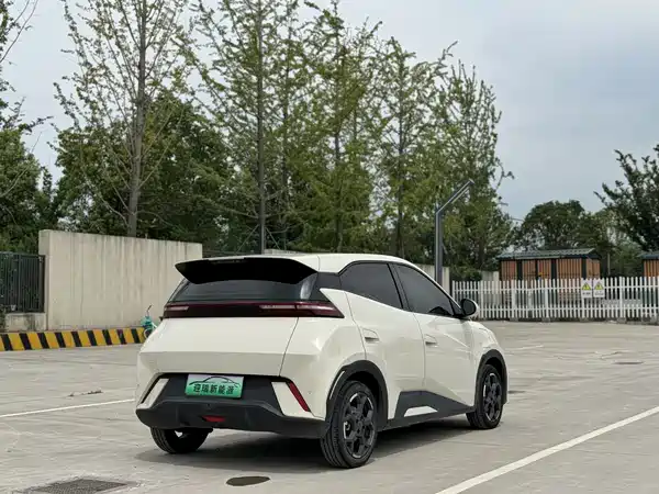 BYD Seagull 2024