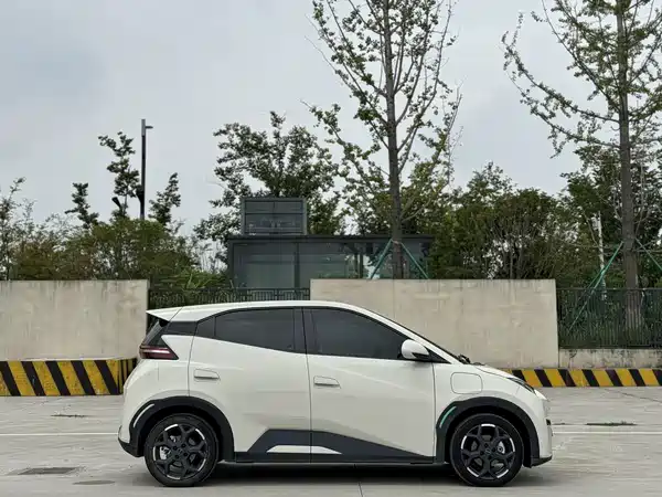 BYD Seagull 2024