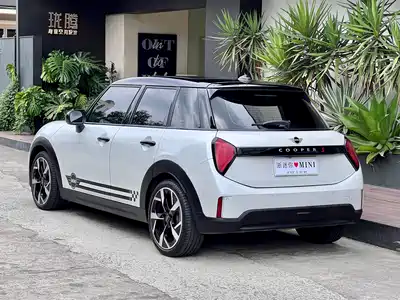 MINI MINI 2025