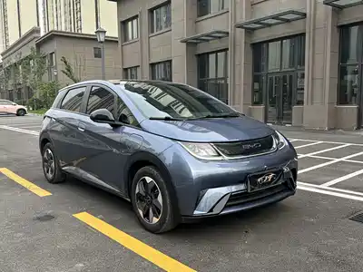 BYD Dolphin 2024