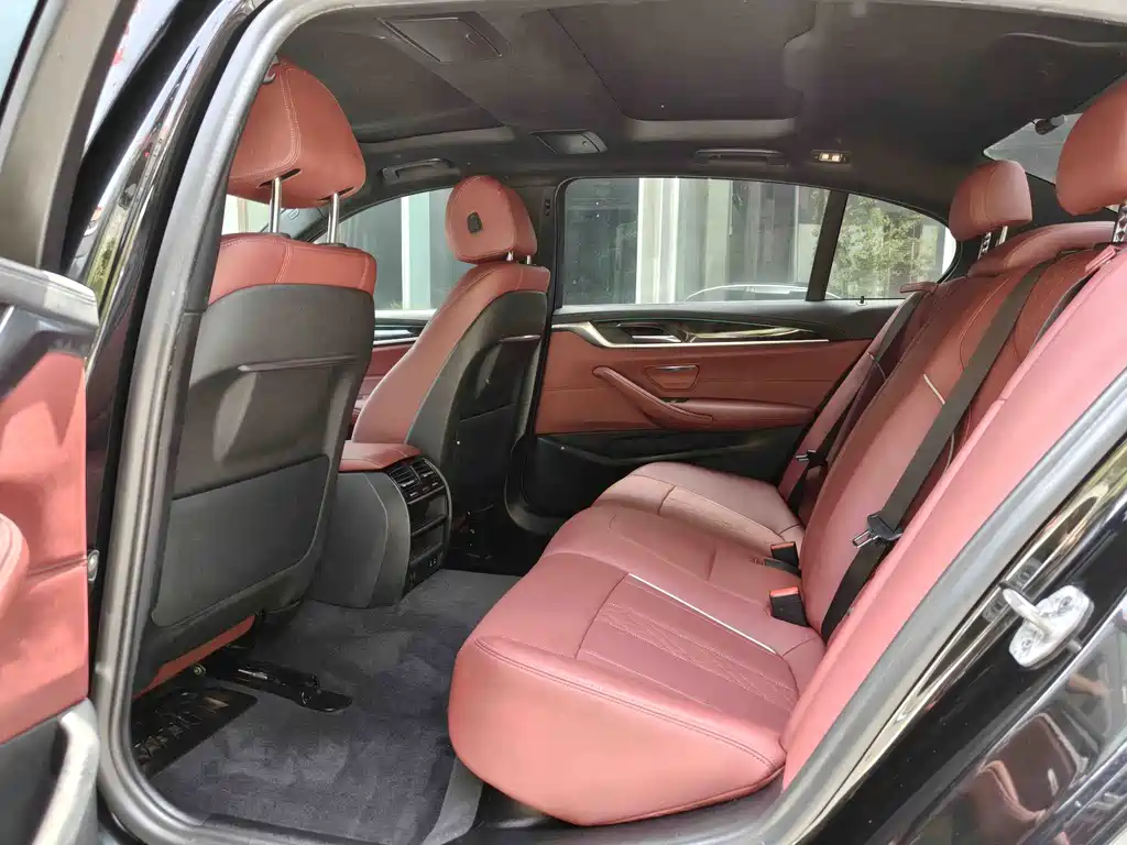 BMW 5 Series New Energy 2021